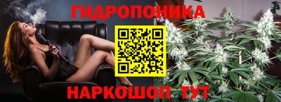 бошки Ставрополь
