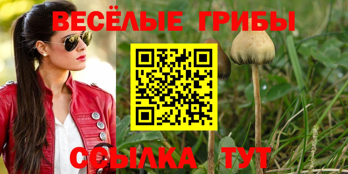 Галлюциногенные грибы MAGIC MUSHROOMS  Галлюциногенные грибы ЛСД  Брянск  Вход с VPN 